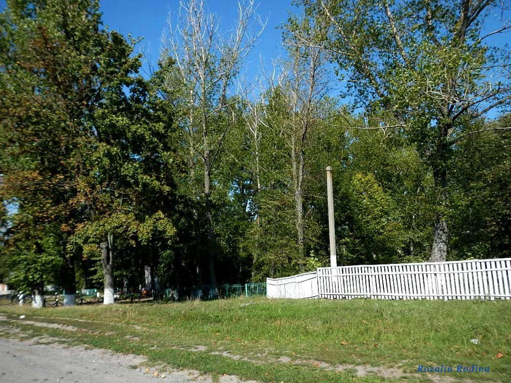 Жежелев