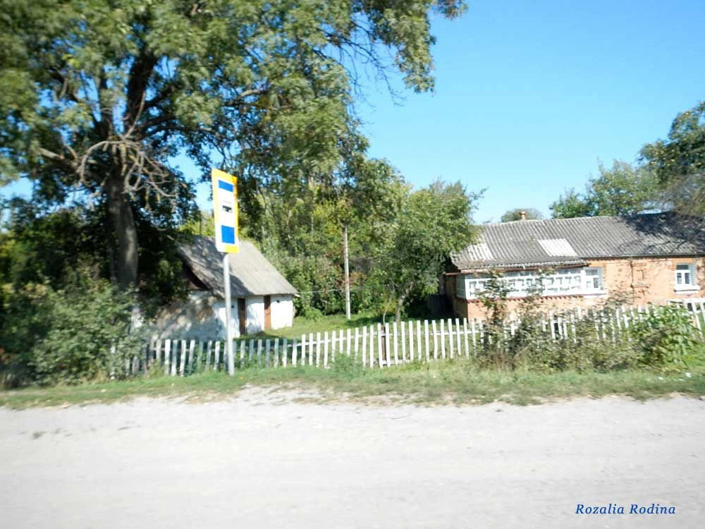 Жежелев