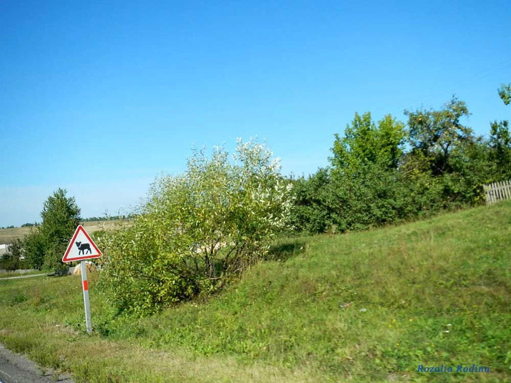 Жежелев