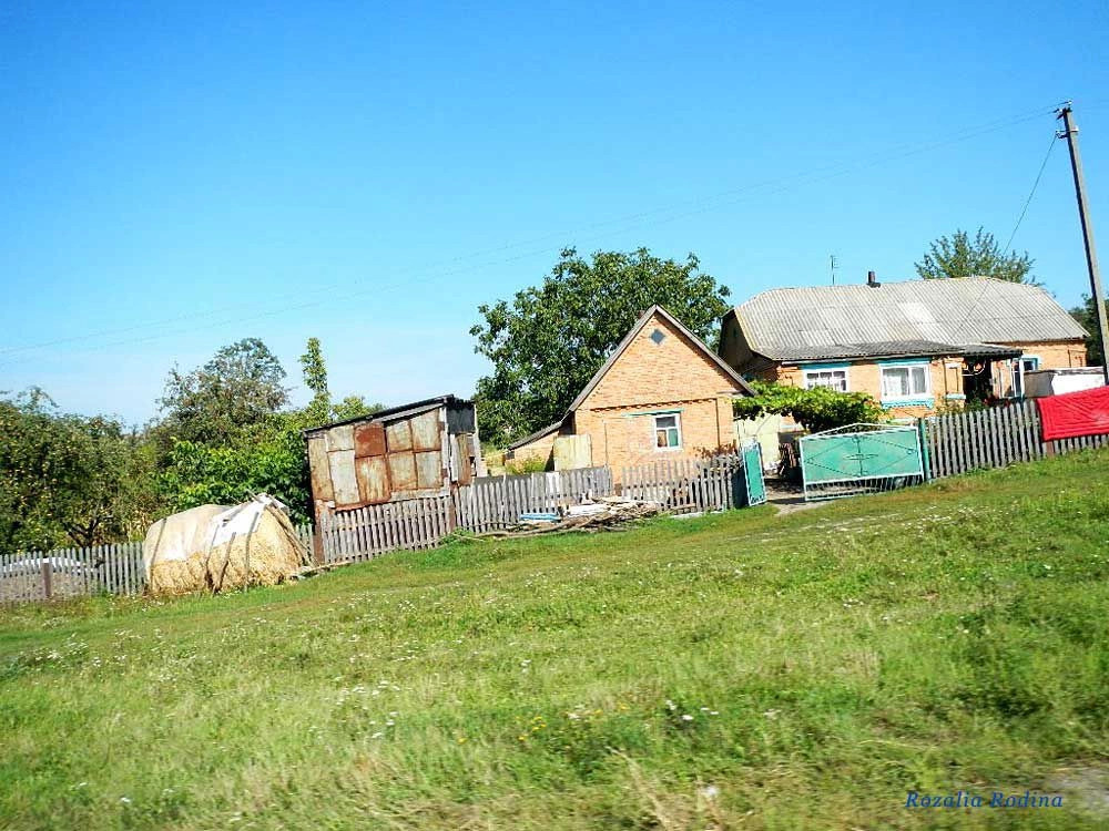 Жежелев