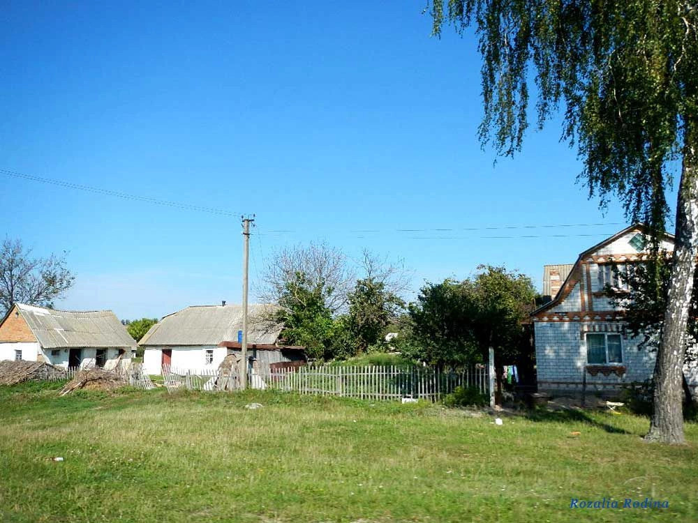 Жежелев