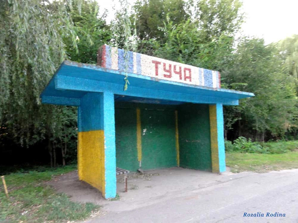 Туча