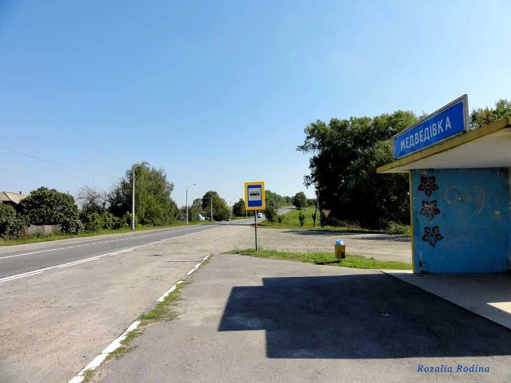 Медведевка (Казатинский р-н)