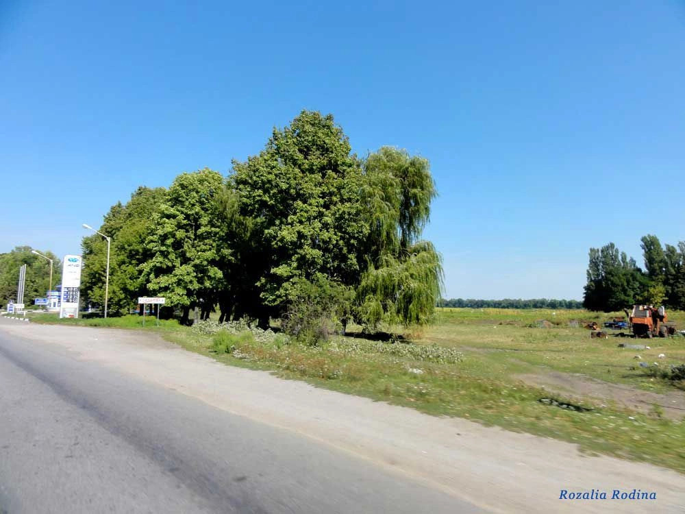 Корделевка