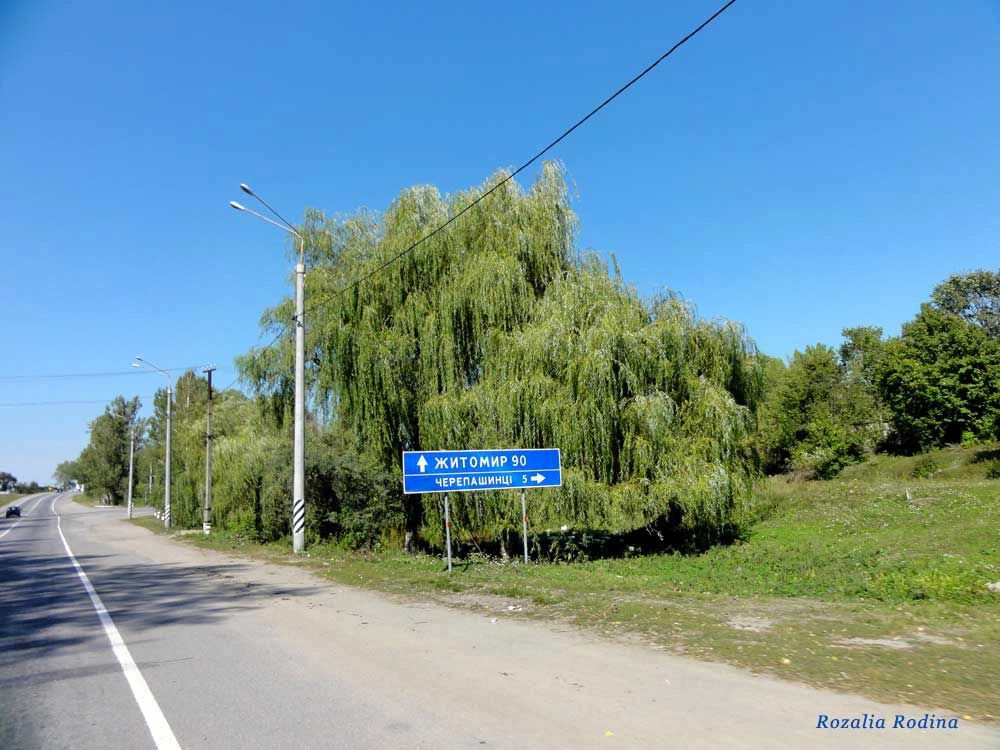 Черепашинцы