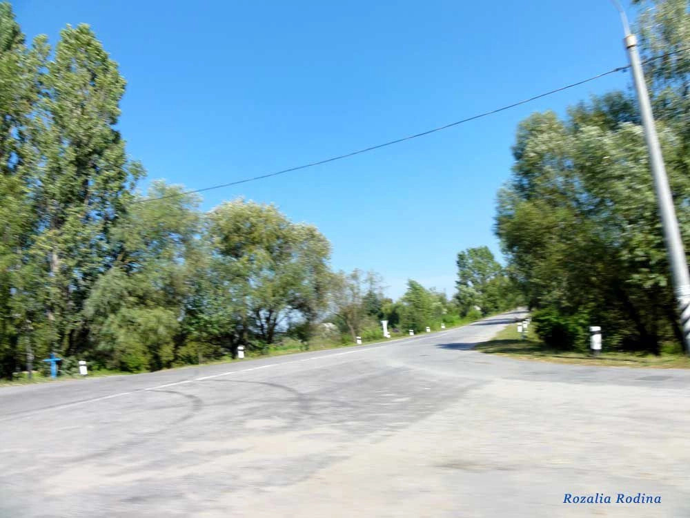 Черепашинцы
