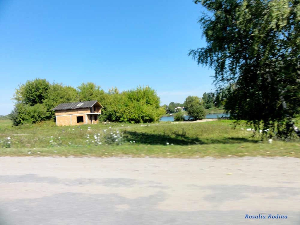 Черепашинцы