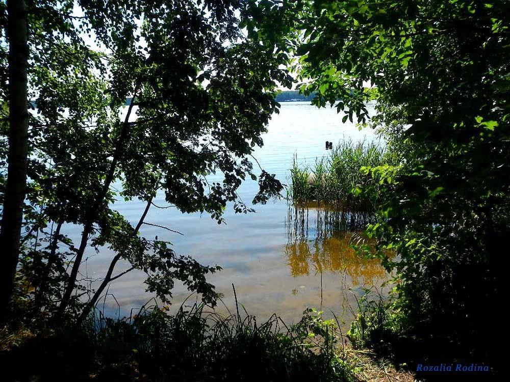 Пестовское водохранилище