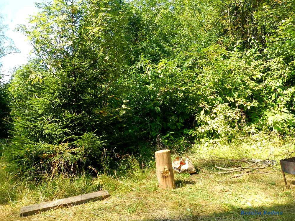 Пестовское водохранилище