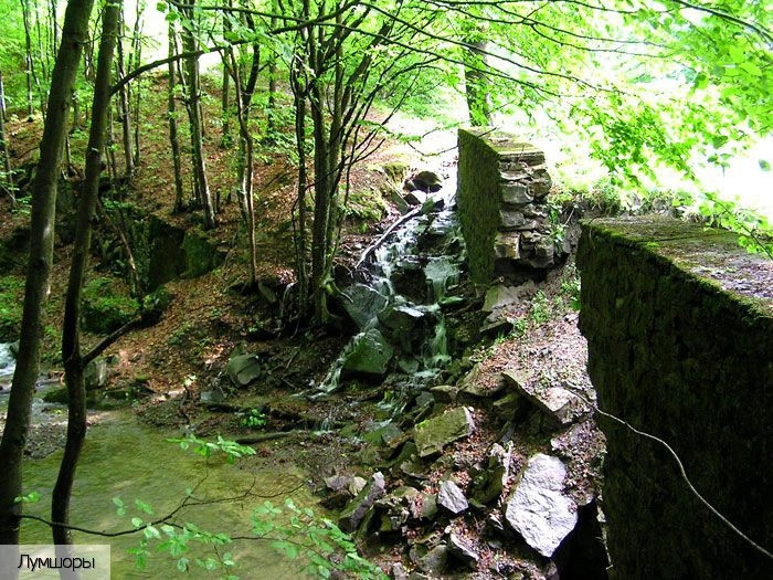 Закарпатская обл.