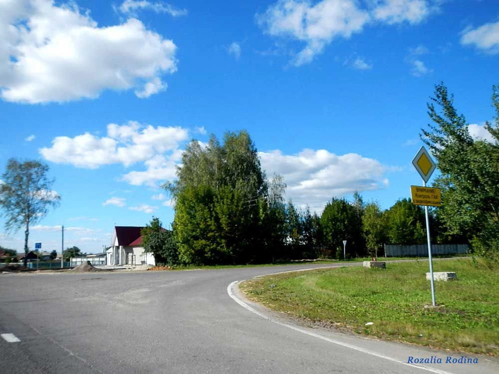 Гомельский район