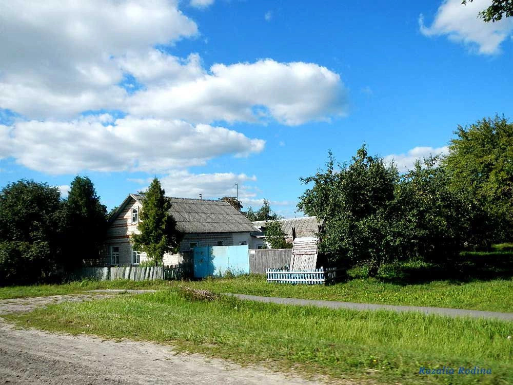 Гомельский район