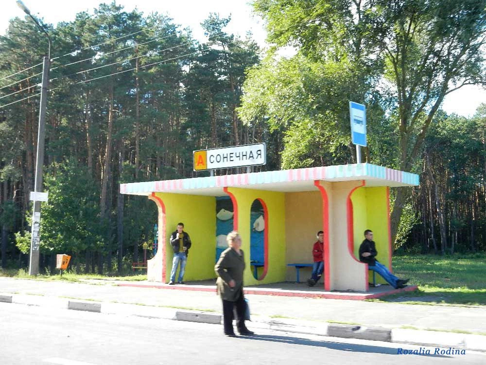 Гомельский район