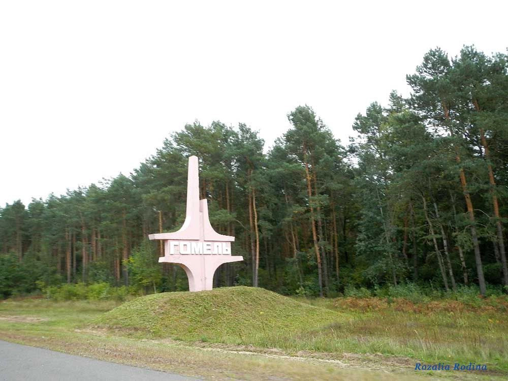 Гомельский район