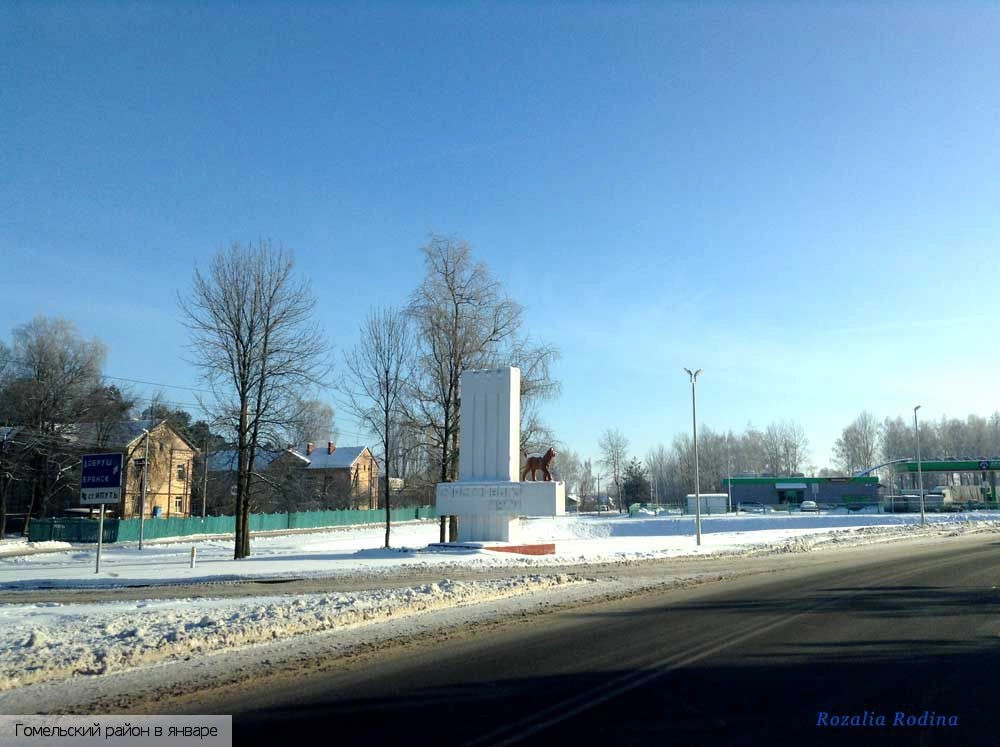 Гомельский район