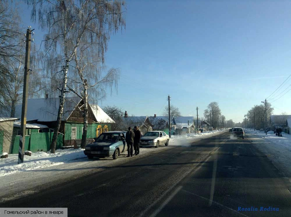 Гомельский район