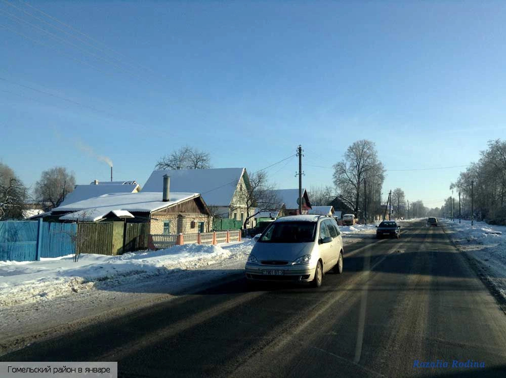 Гомельский район
