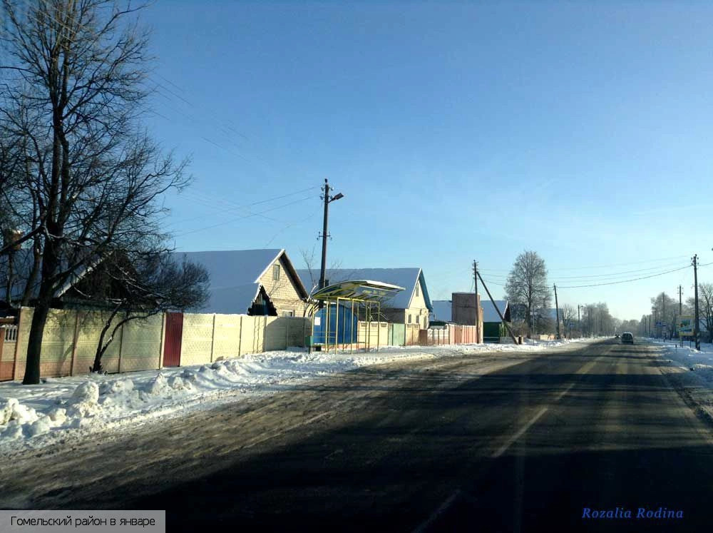 Гомельский район