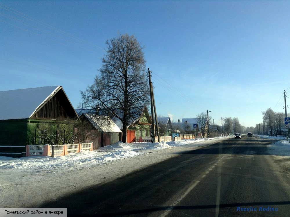 Гомельский район