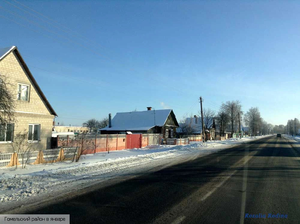 Гомельский район