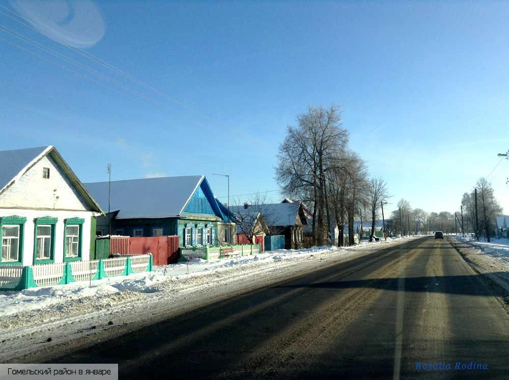 Гомельский район