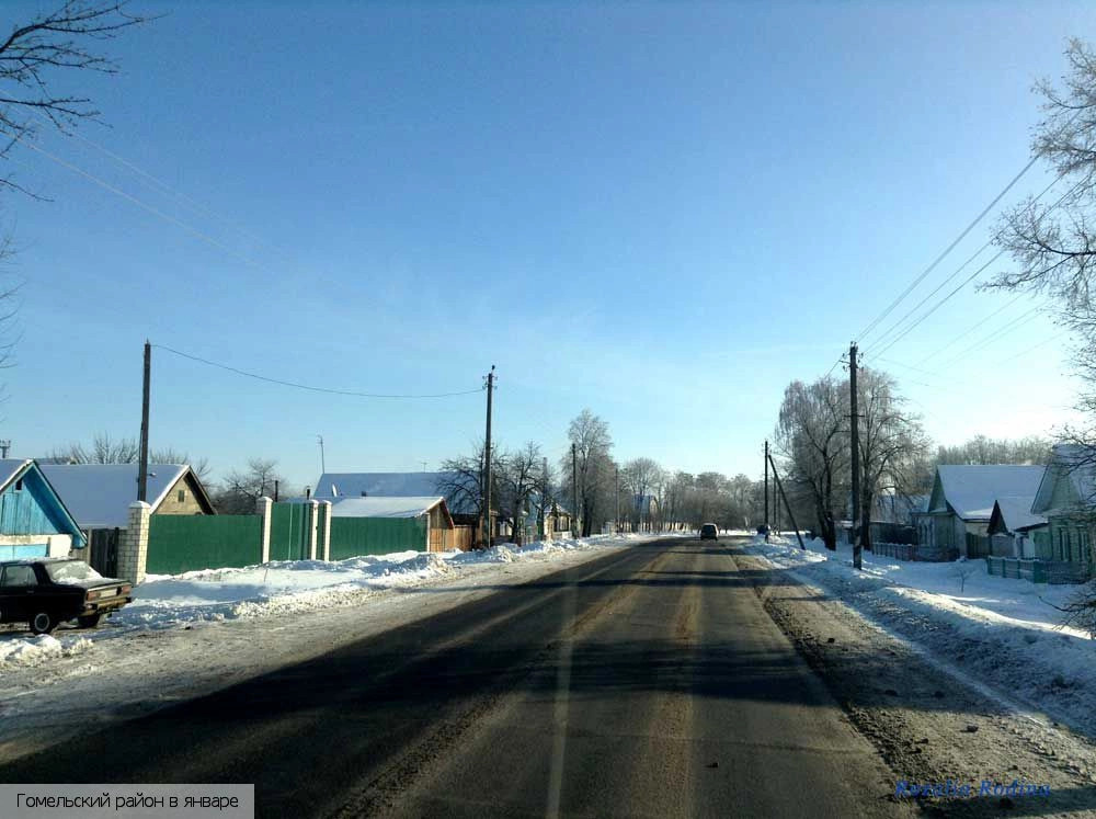 Гомельский район
