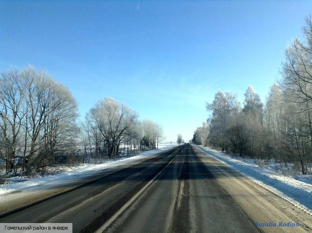 Гомельский район