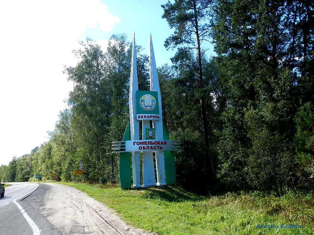 Добрушский район