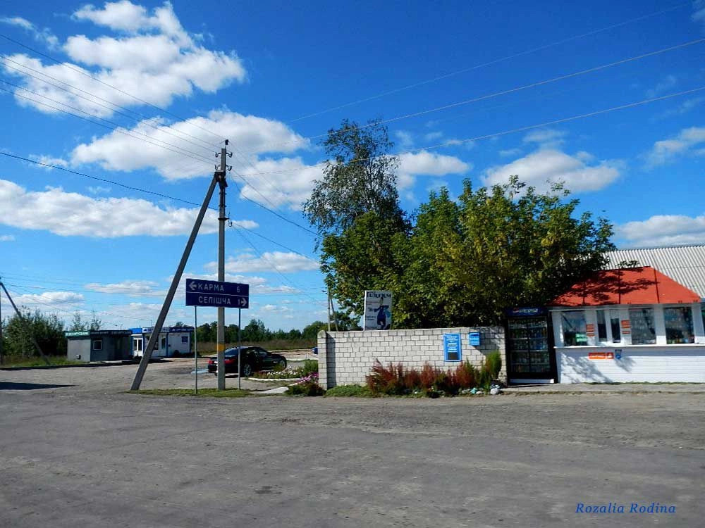 Добрушский район