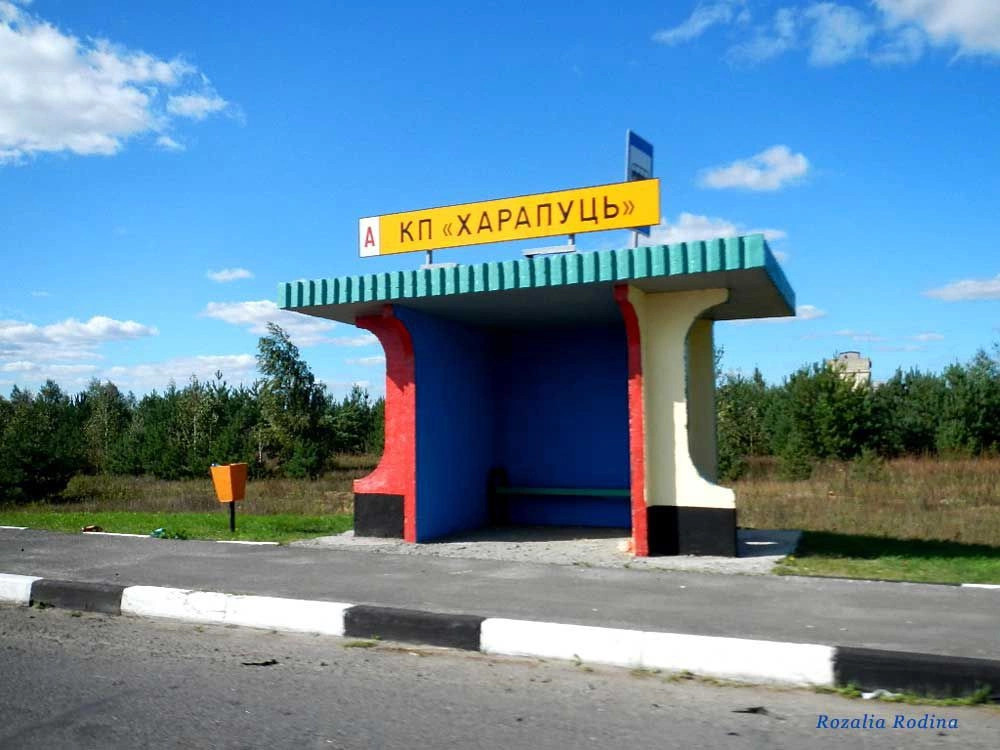 Добрушский район
