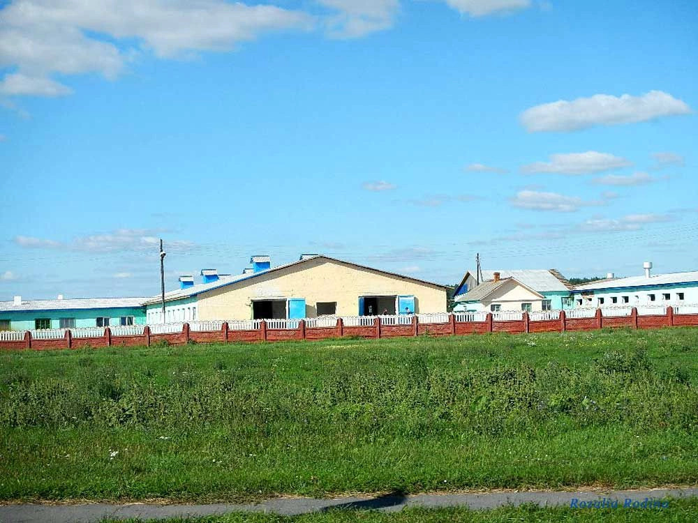 Добрушский район