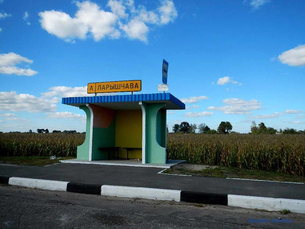 Добрушский район