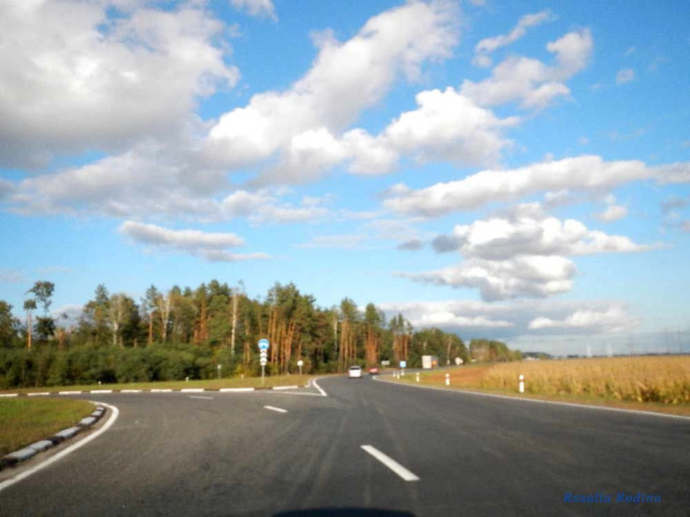 Добрушский район