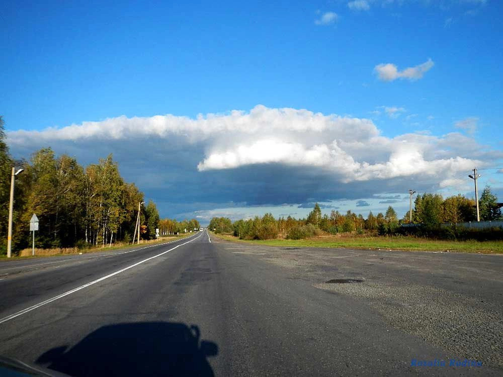 Добрушский район