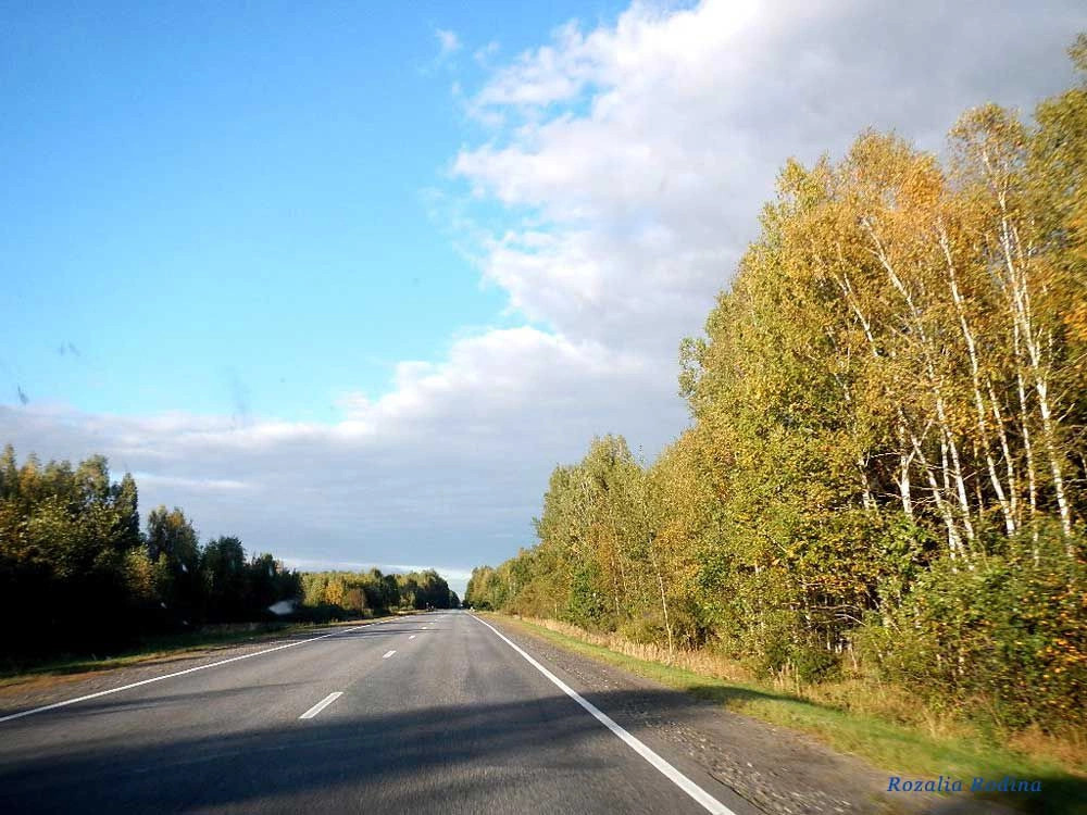 Добрушский район