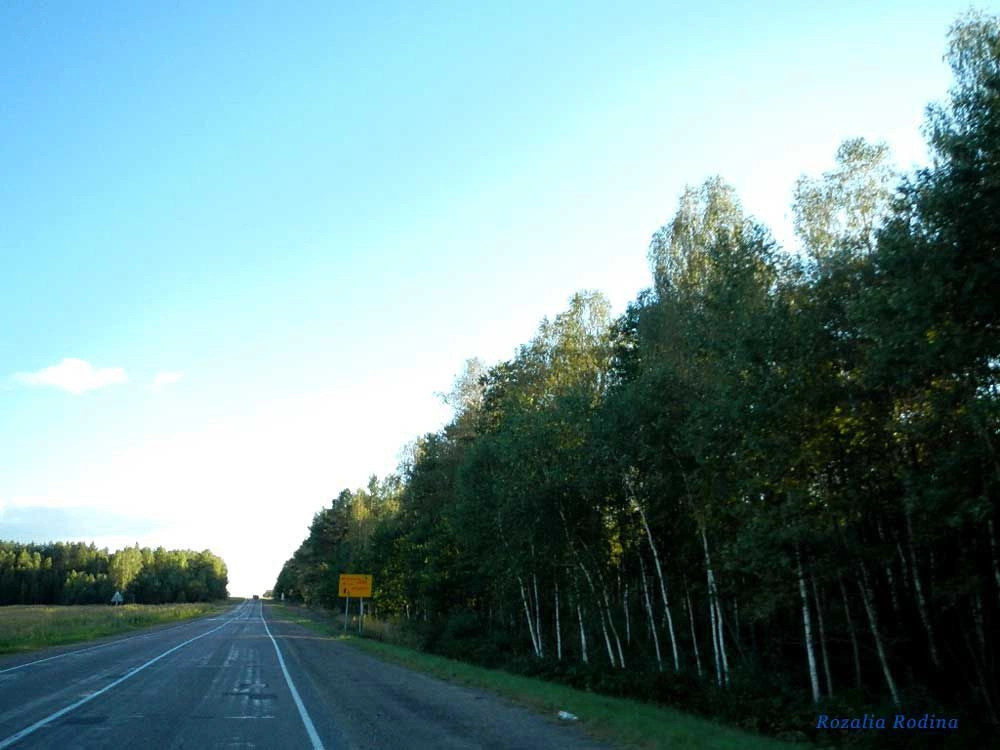 Ельский район