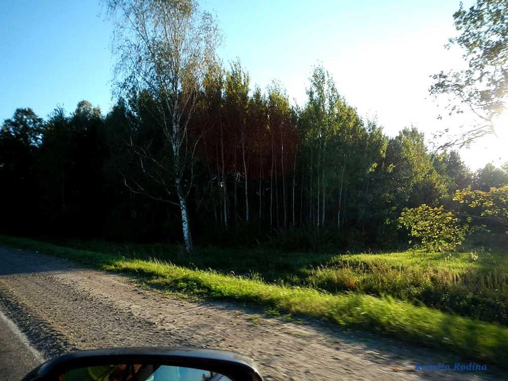 Ельский район