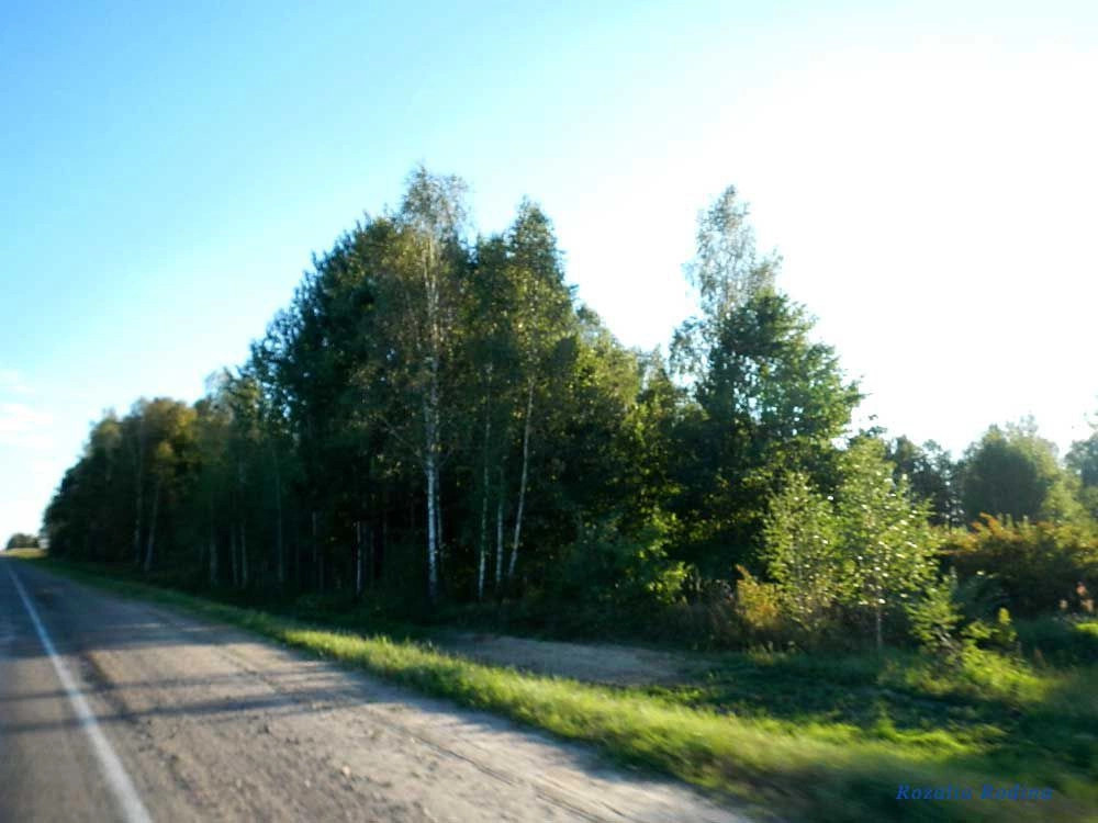Ельский район
