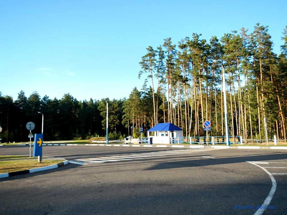Ельский район