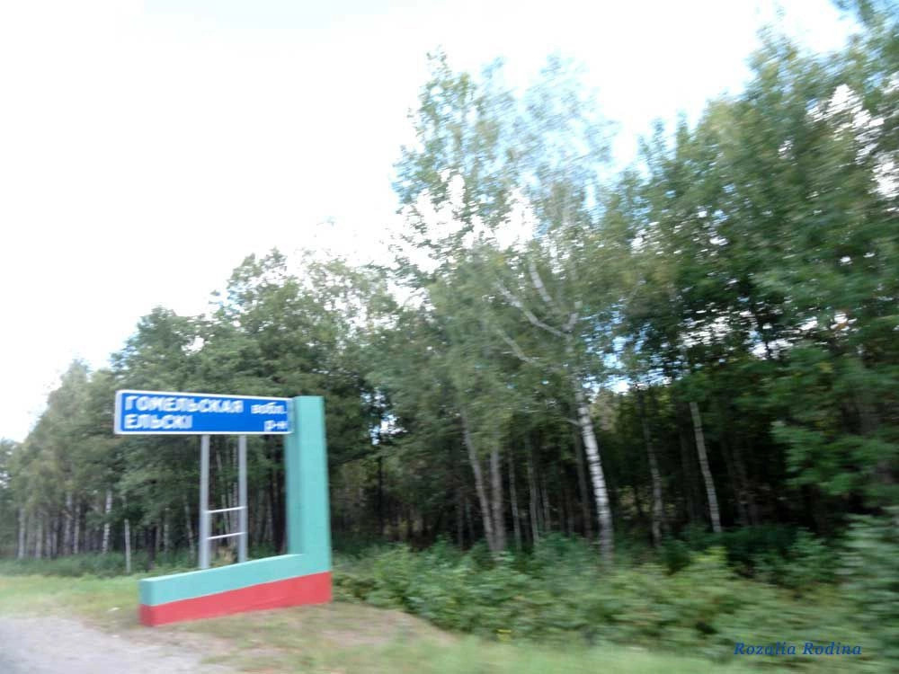 Ельский район