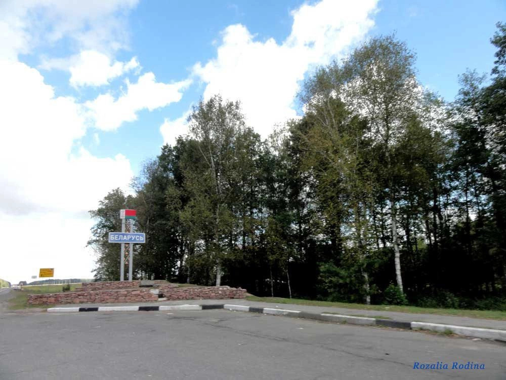 Ельский район