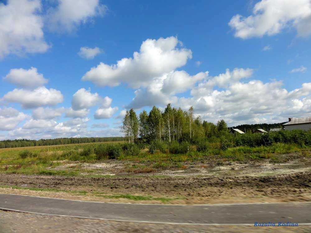 Ельский район