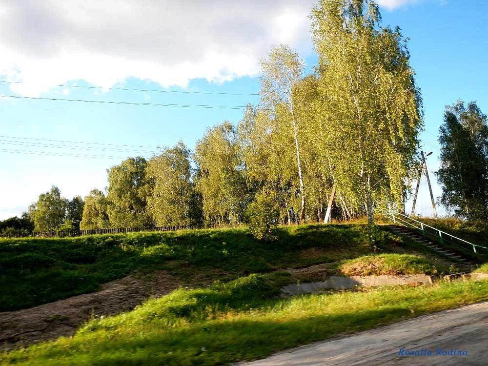 Мозырский район