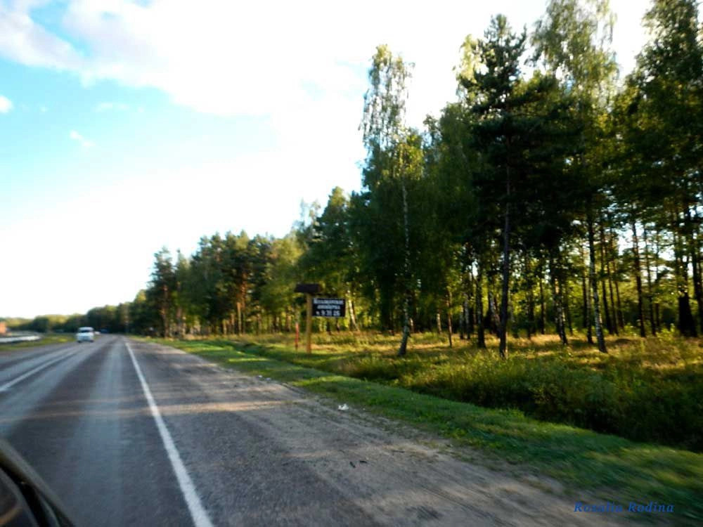 Мозырский район