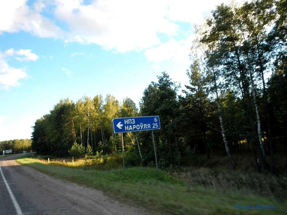 Мозырский район