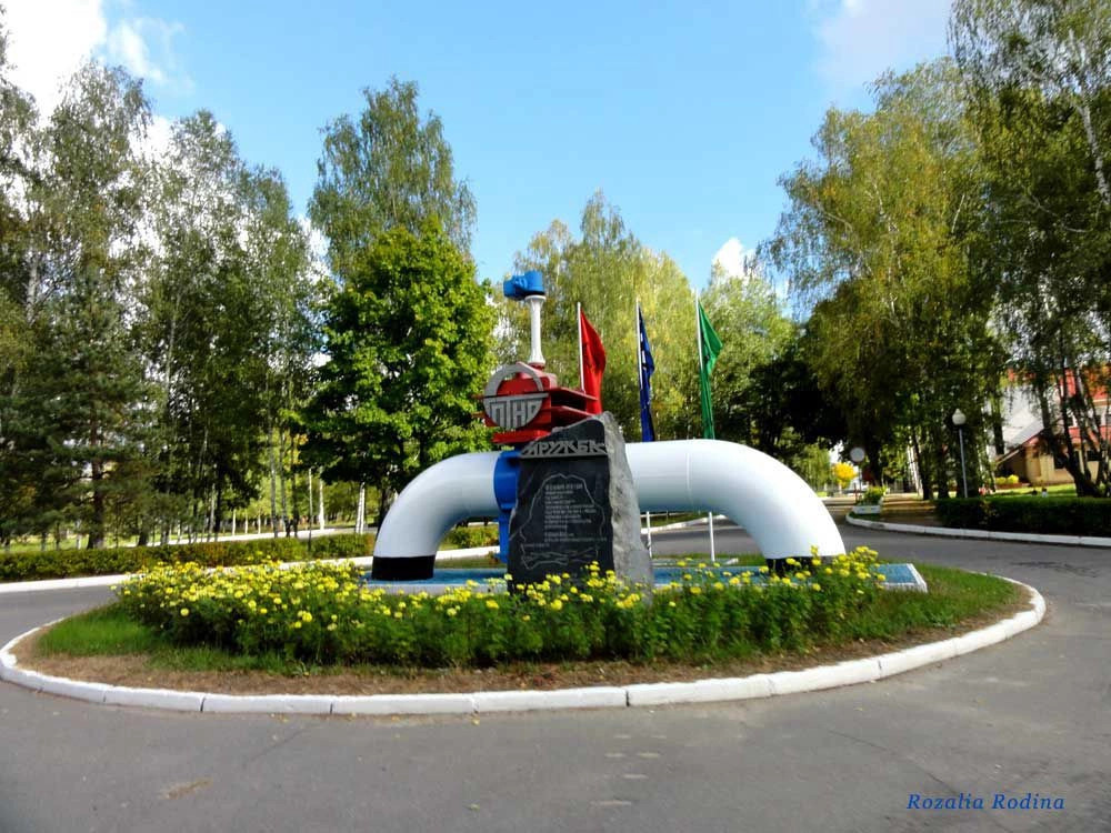 Мозырский район