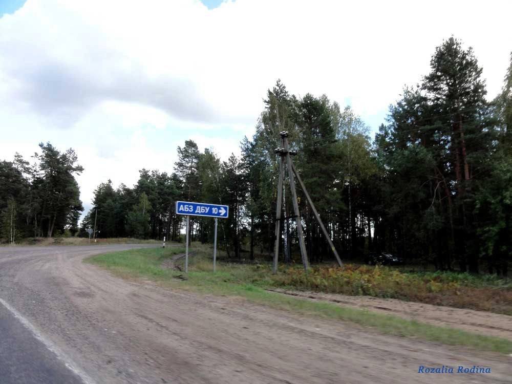 Мозырский район
