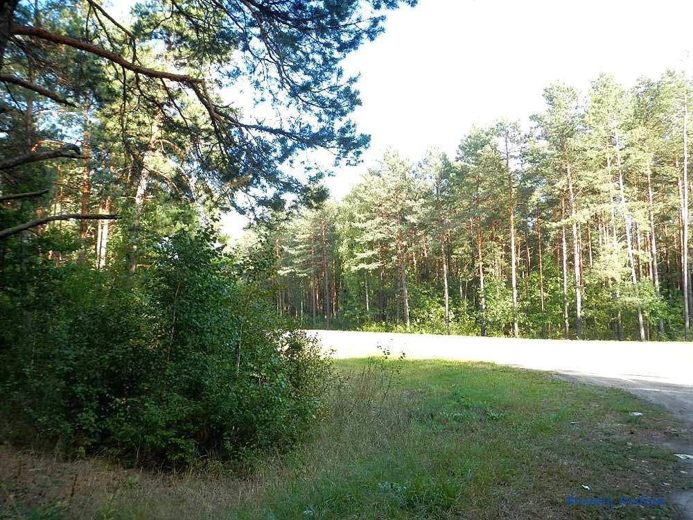 Речицкий район