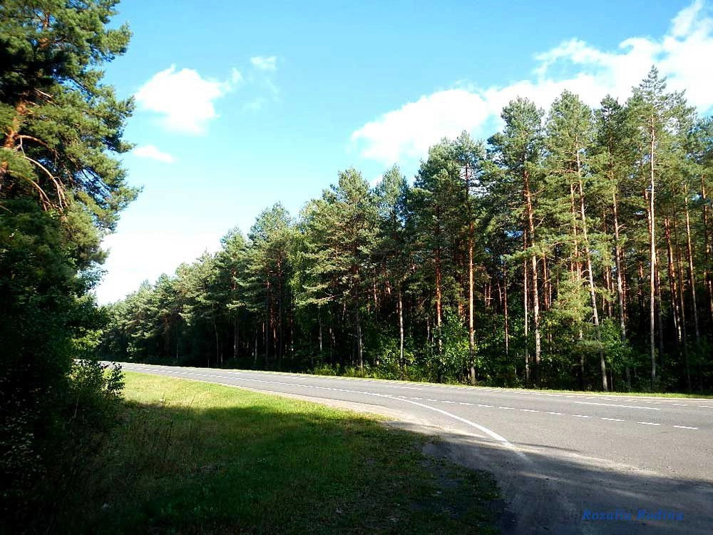 Речицкий район