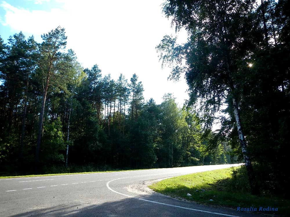 Речицкий район